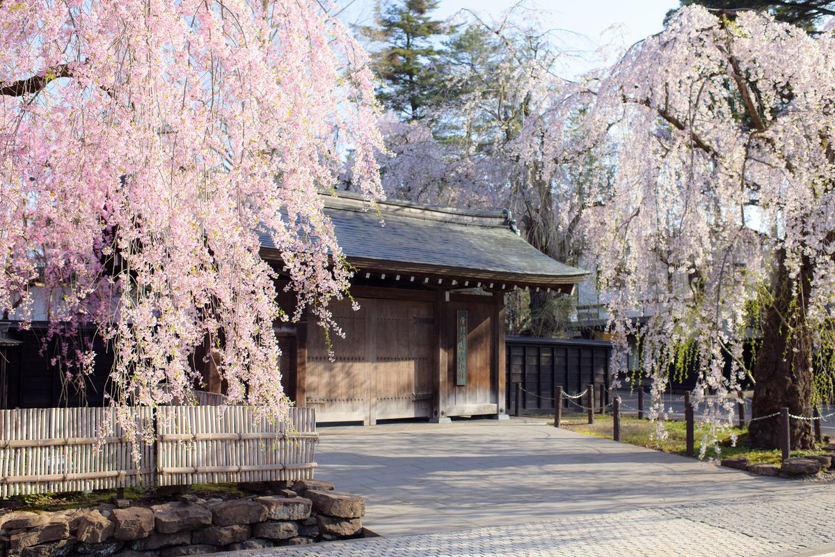 Kakunodate Samurai District