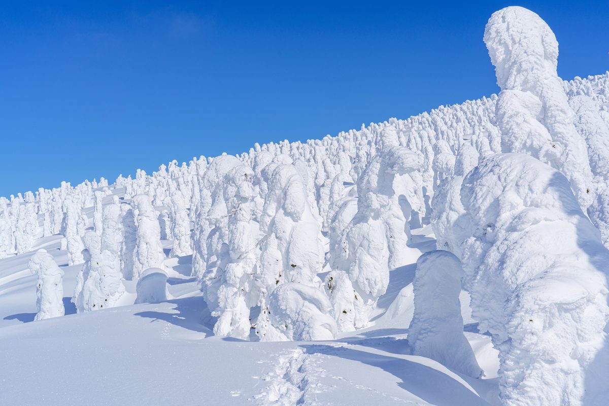 Mt. Moriyoshi (Juhyo)