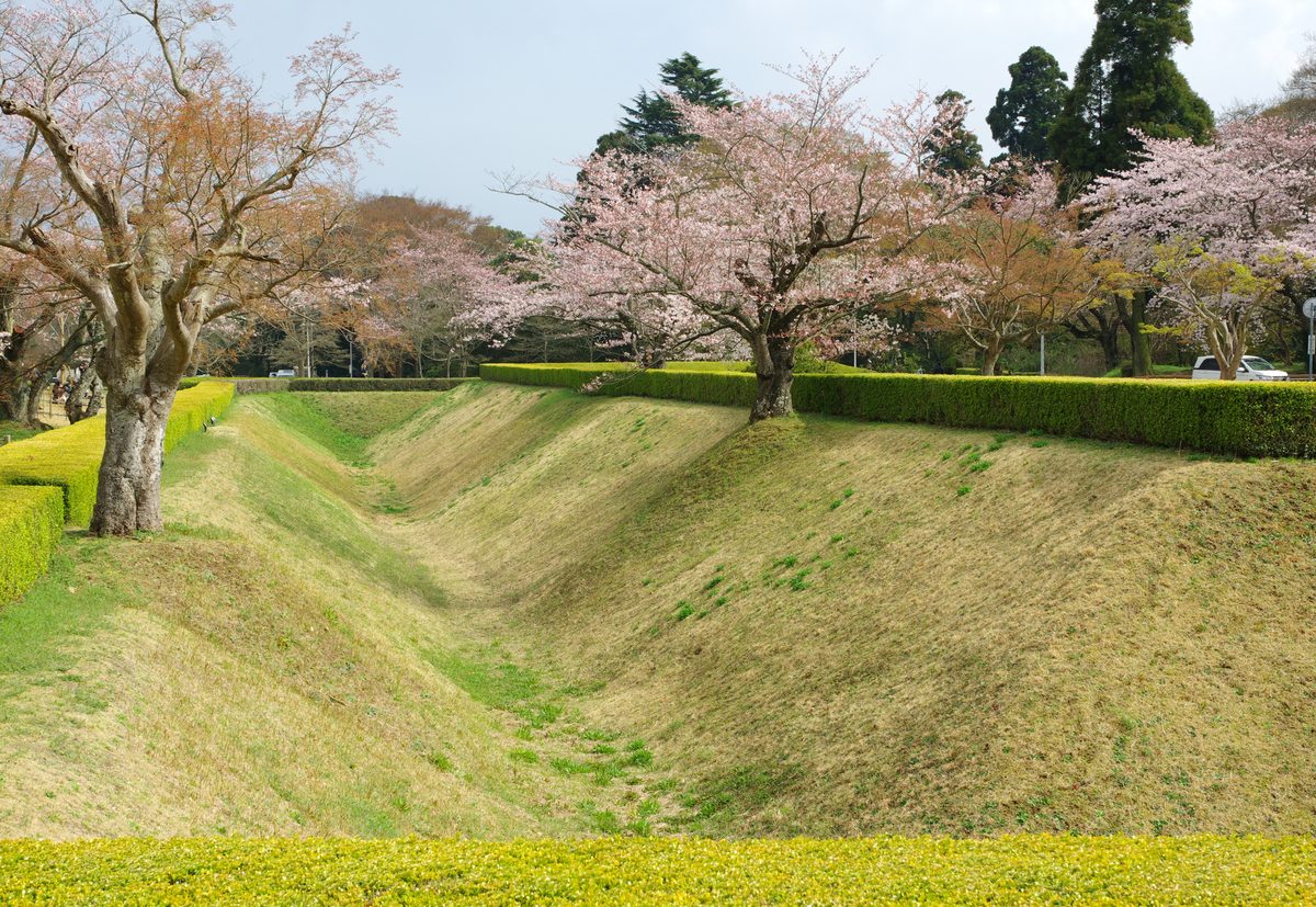 Sakura City & Castle Ruins