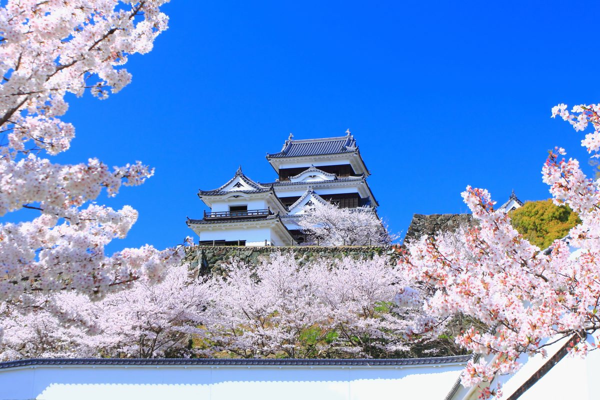 Ozu Castle