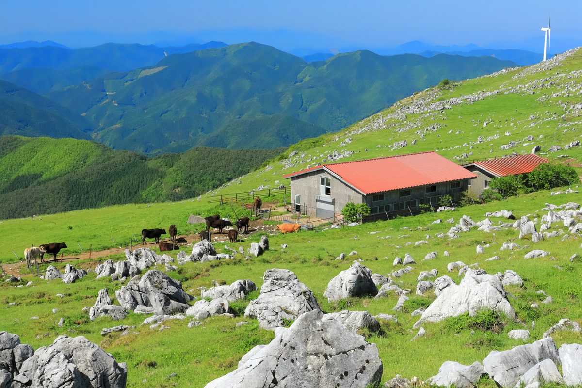 Shikoku Karst Plateau