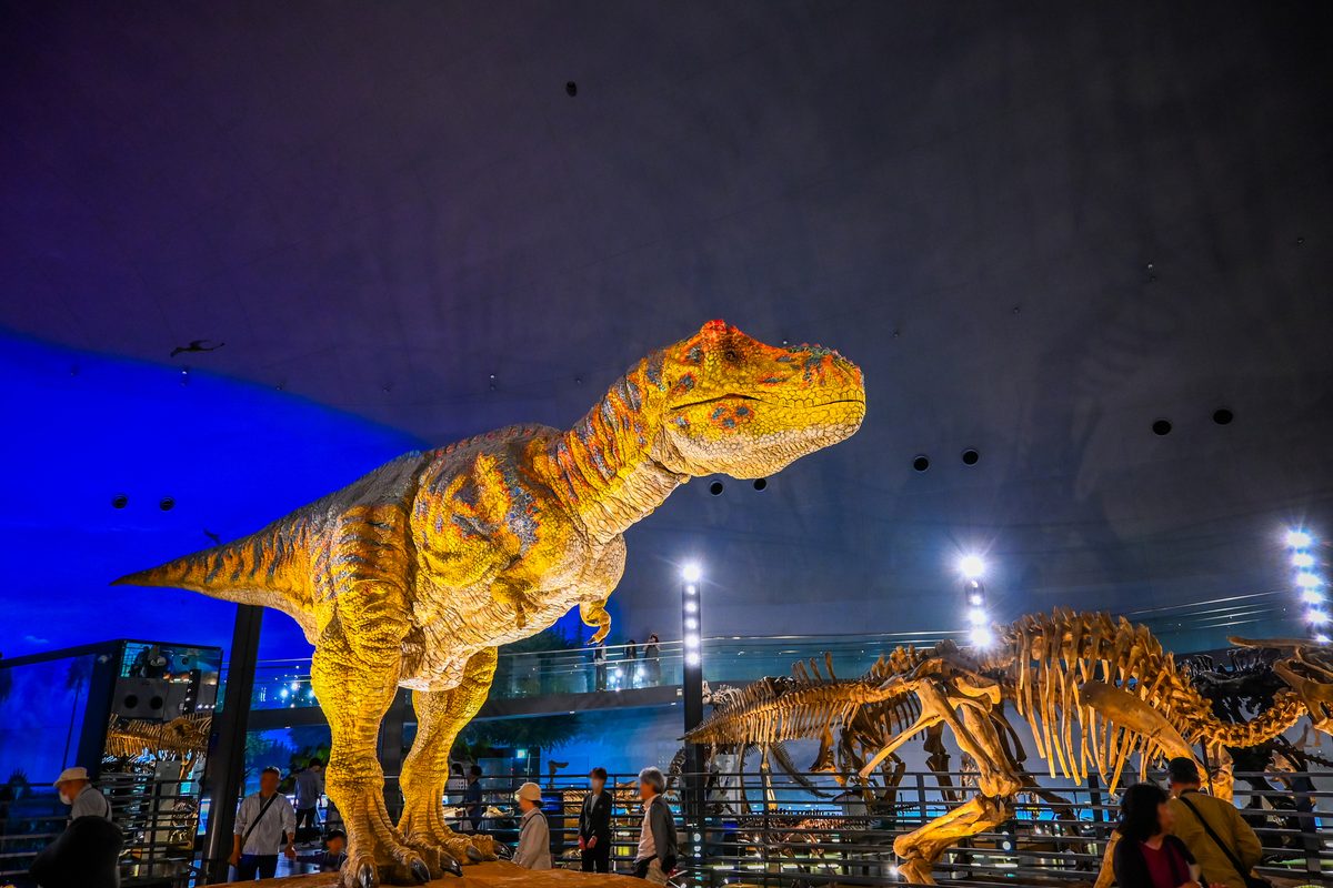 Fukui Prefectural Dinosaur Museum