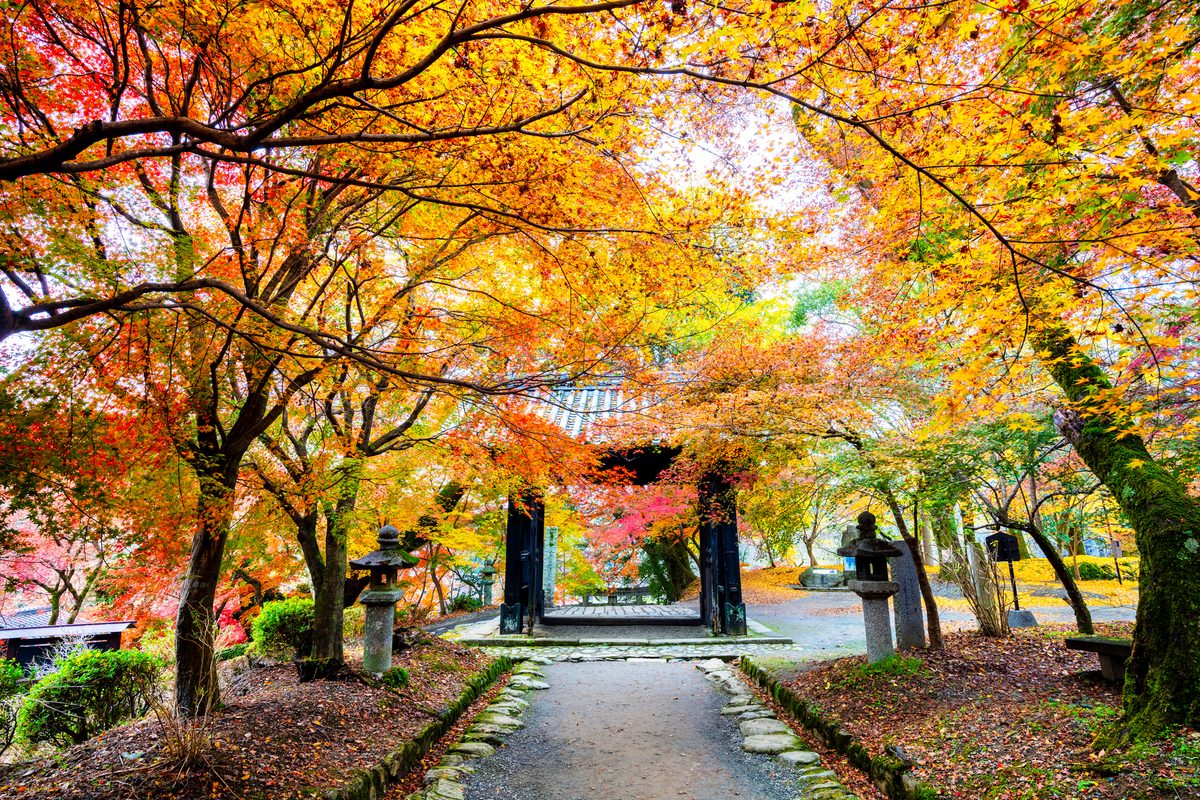 Akizuki Castle Ruins