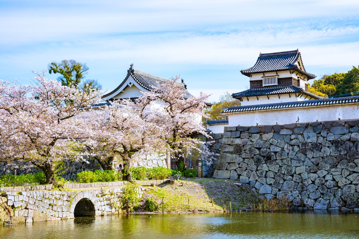 Fukuoka Castle Ruins & Maizuru Park