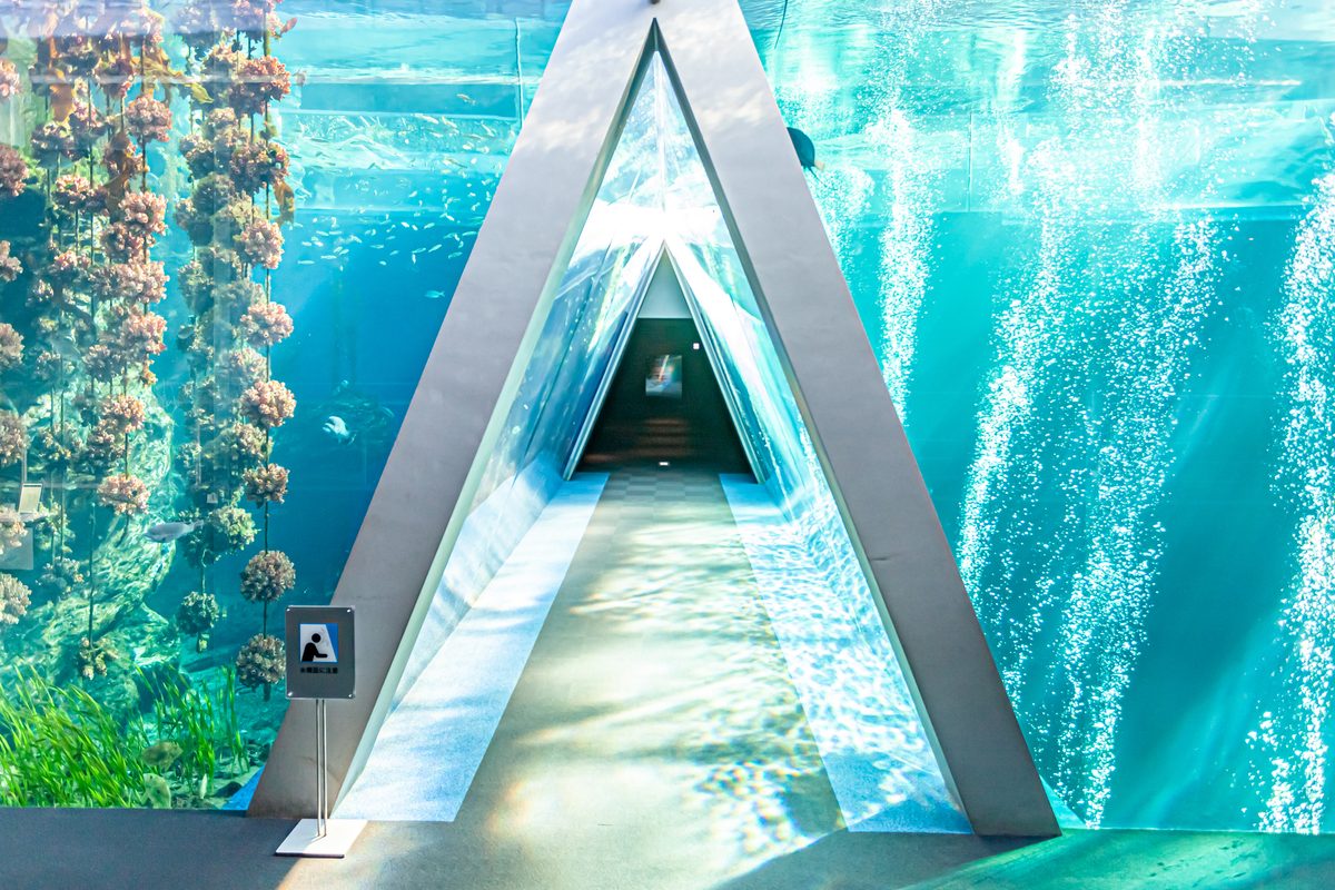 Aquamarine Fukushima