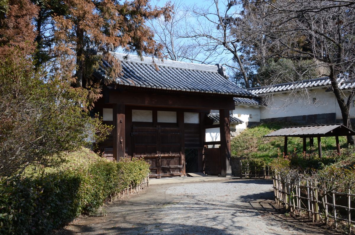 Tatebayashi Castle Park — Azalea Hill