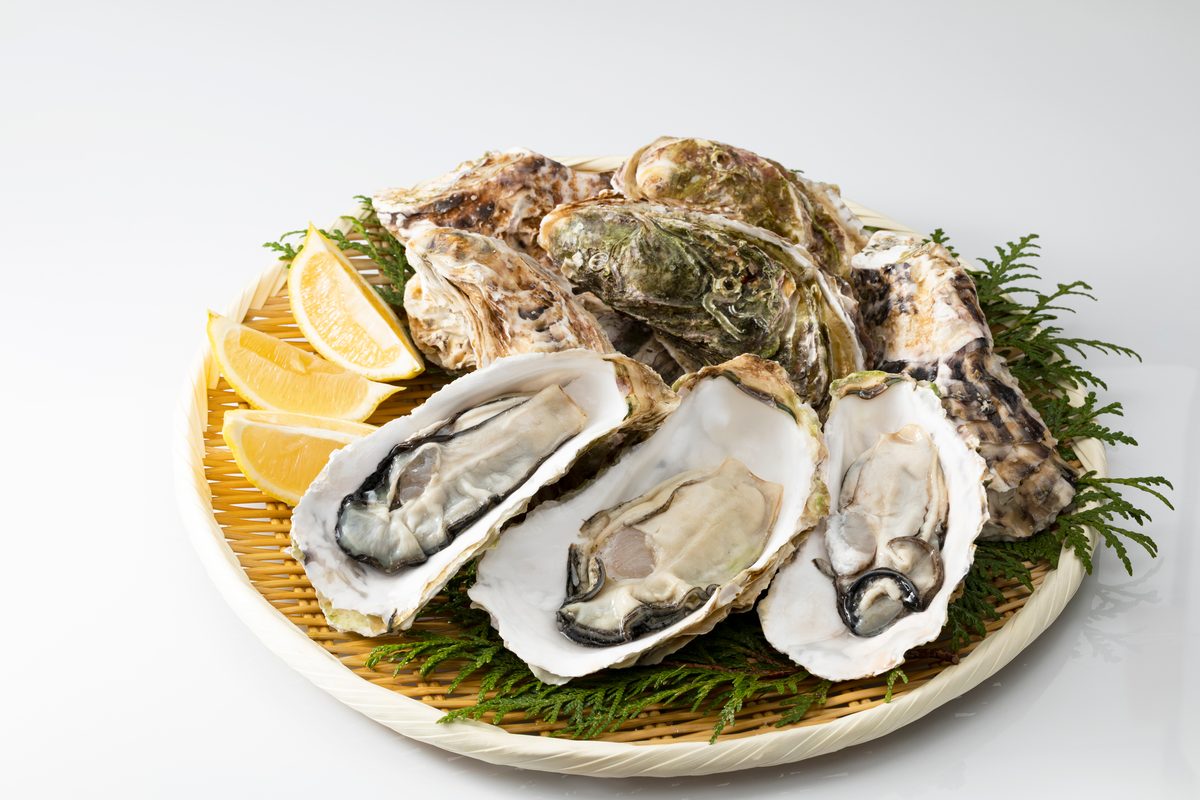Hiroshima Oyster Experience