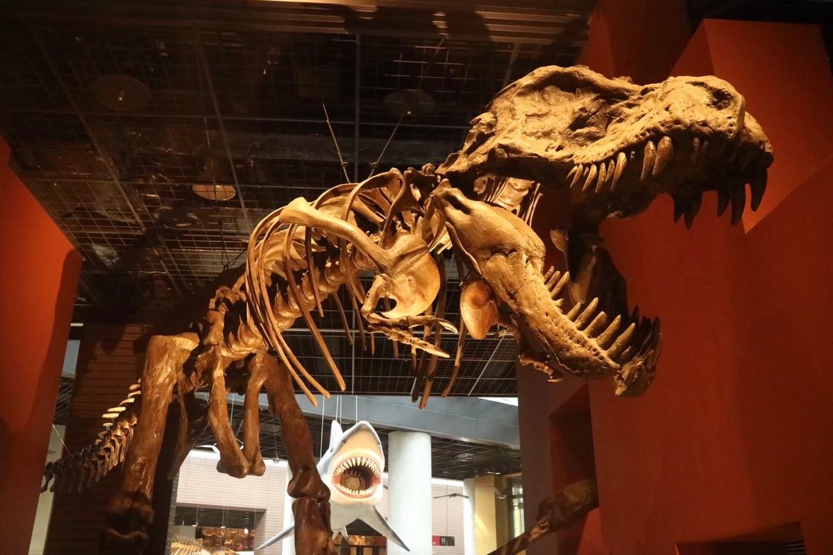 Ibaraki Nature Museum