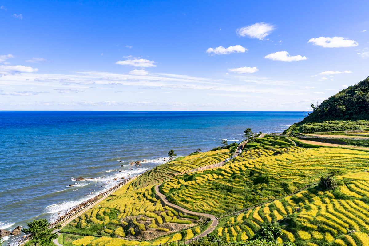 Noto Peninsula Coast