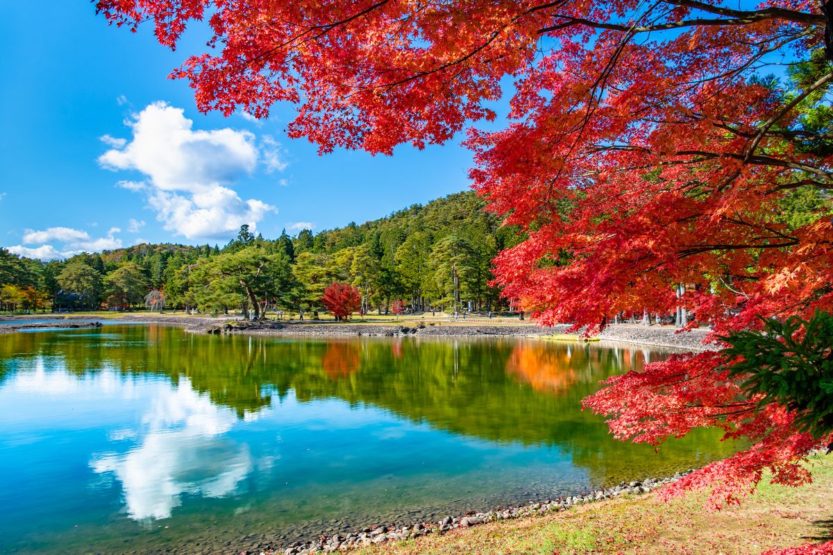 Best Hidden Gems in Tohoku