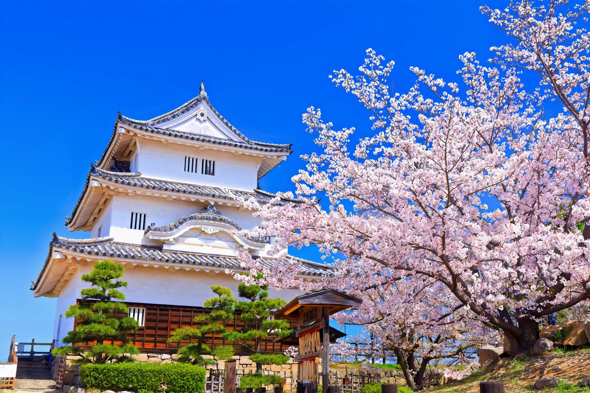Marugame Castle