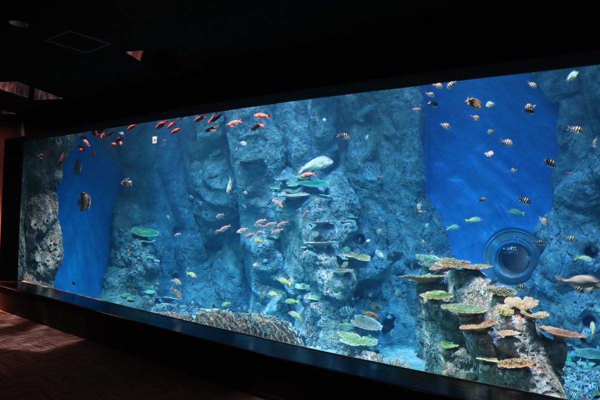 Shikoku Aquarium