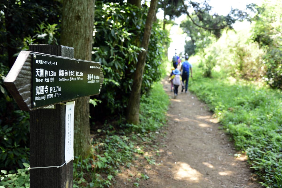 Kamakura Temple Trail