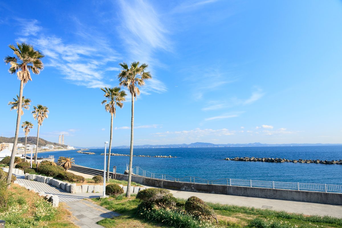 Miura Peninsula Coastal Walk