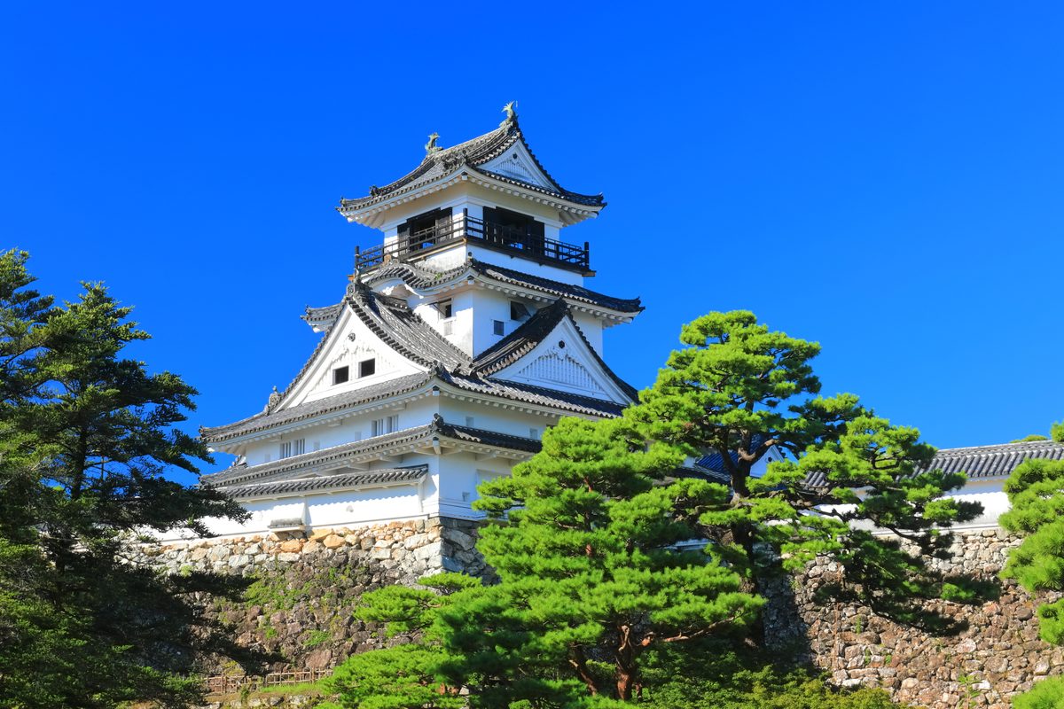 Kochi: The Wild Coast That Japan Forgot to Tame