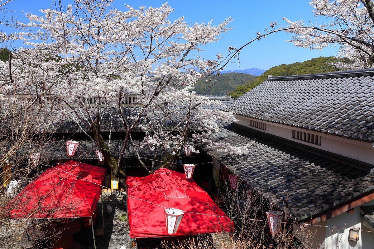 Kochi Prefectural Makino Botanical Garden