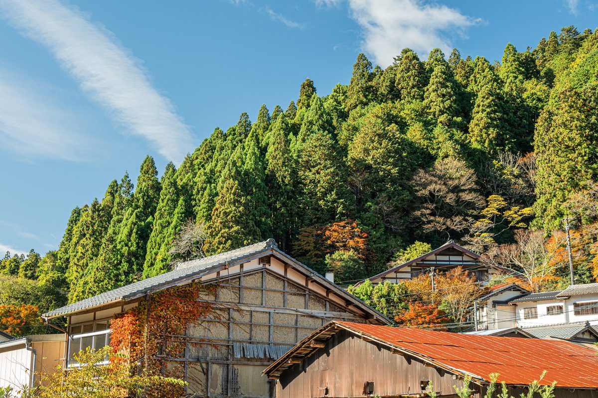 Kurama Village & Temple