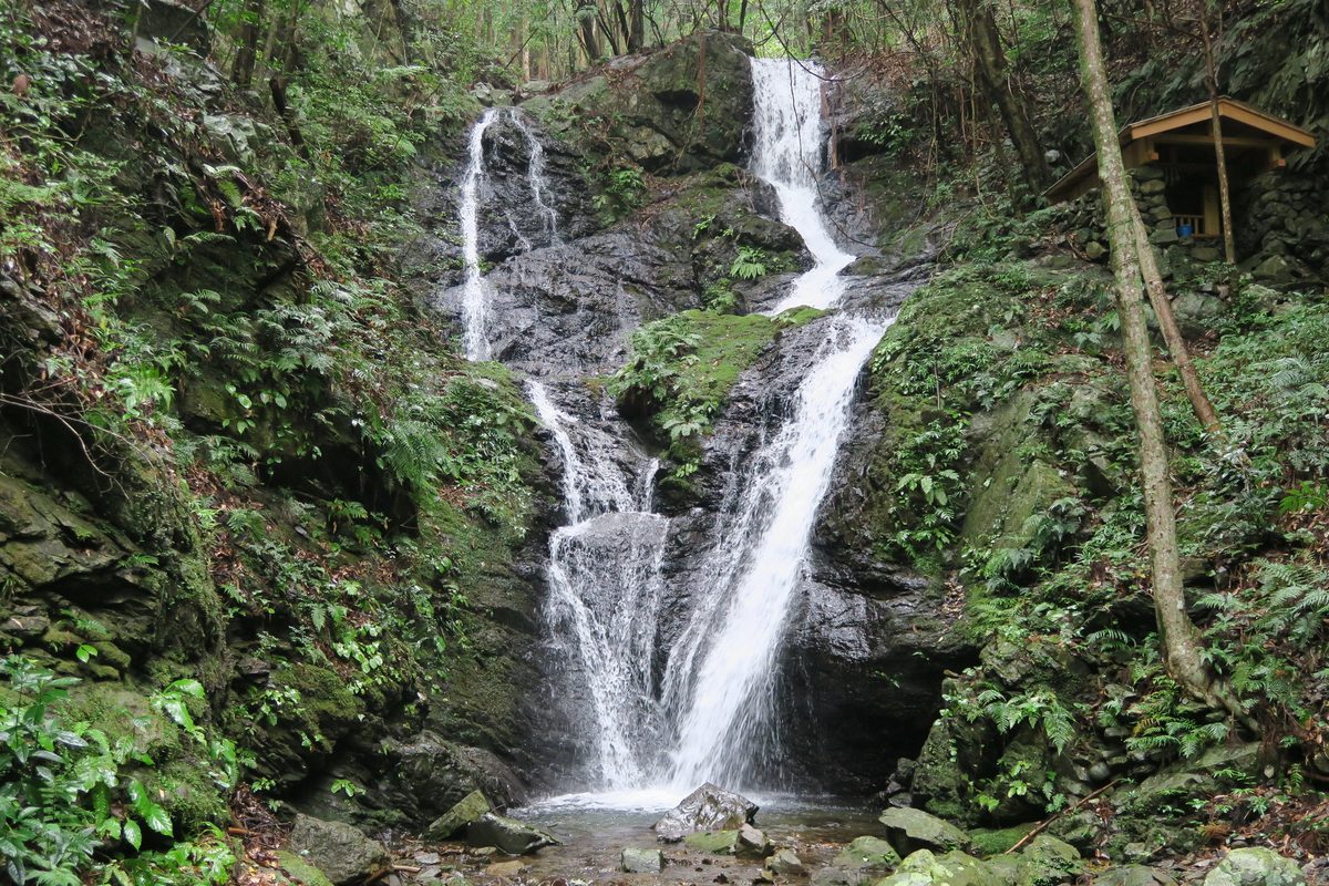 Odaki & Medaki Falls — Mifune Valley