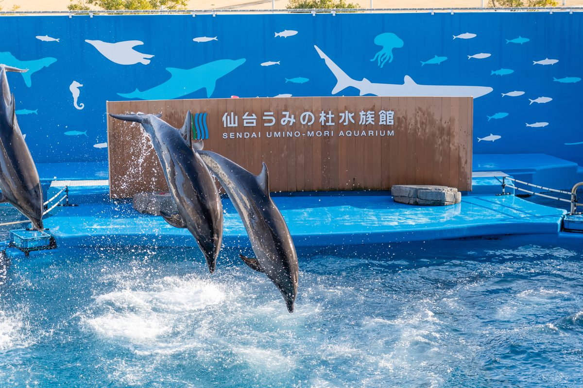 Sendai Umino-Mori Aquarium