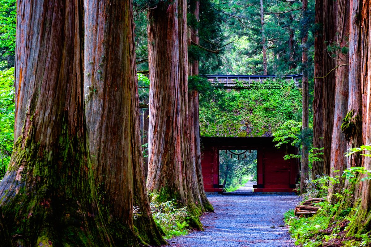 Togakushi Shrine