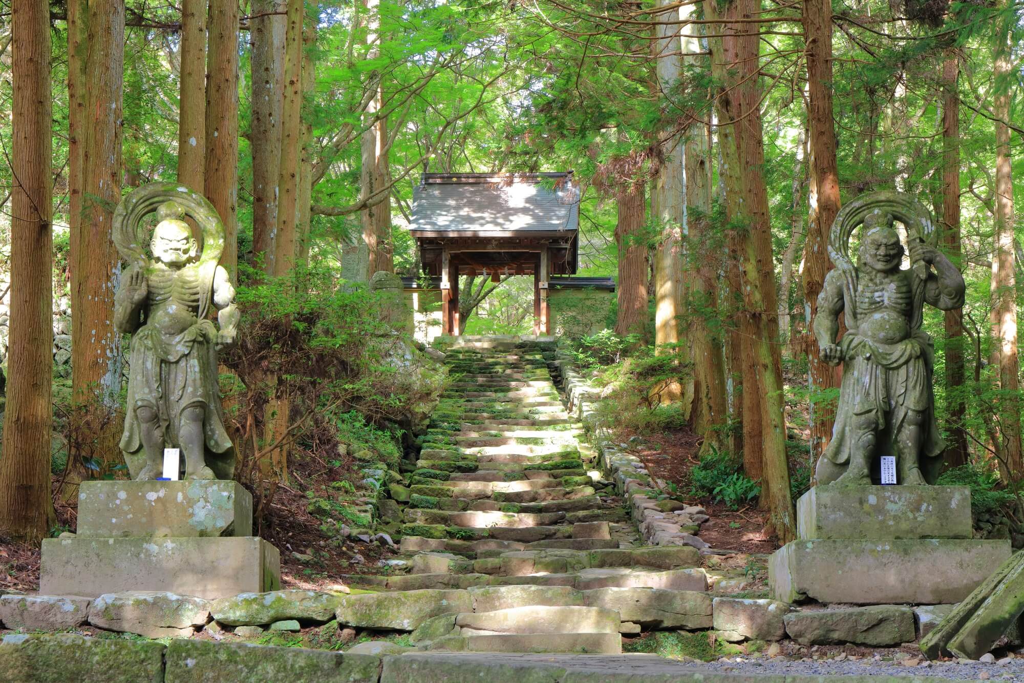 Kunisaki & Usa — Where Buddhism Took a Different Shape
