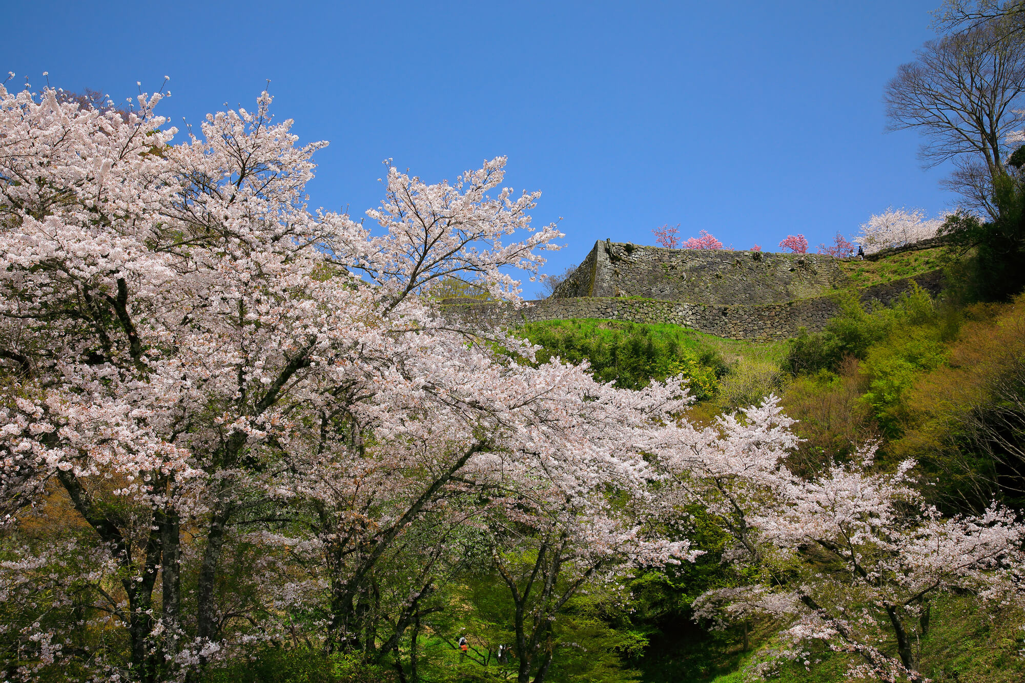 Taketa & Oka — A Castle Ruin Worth the Detour