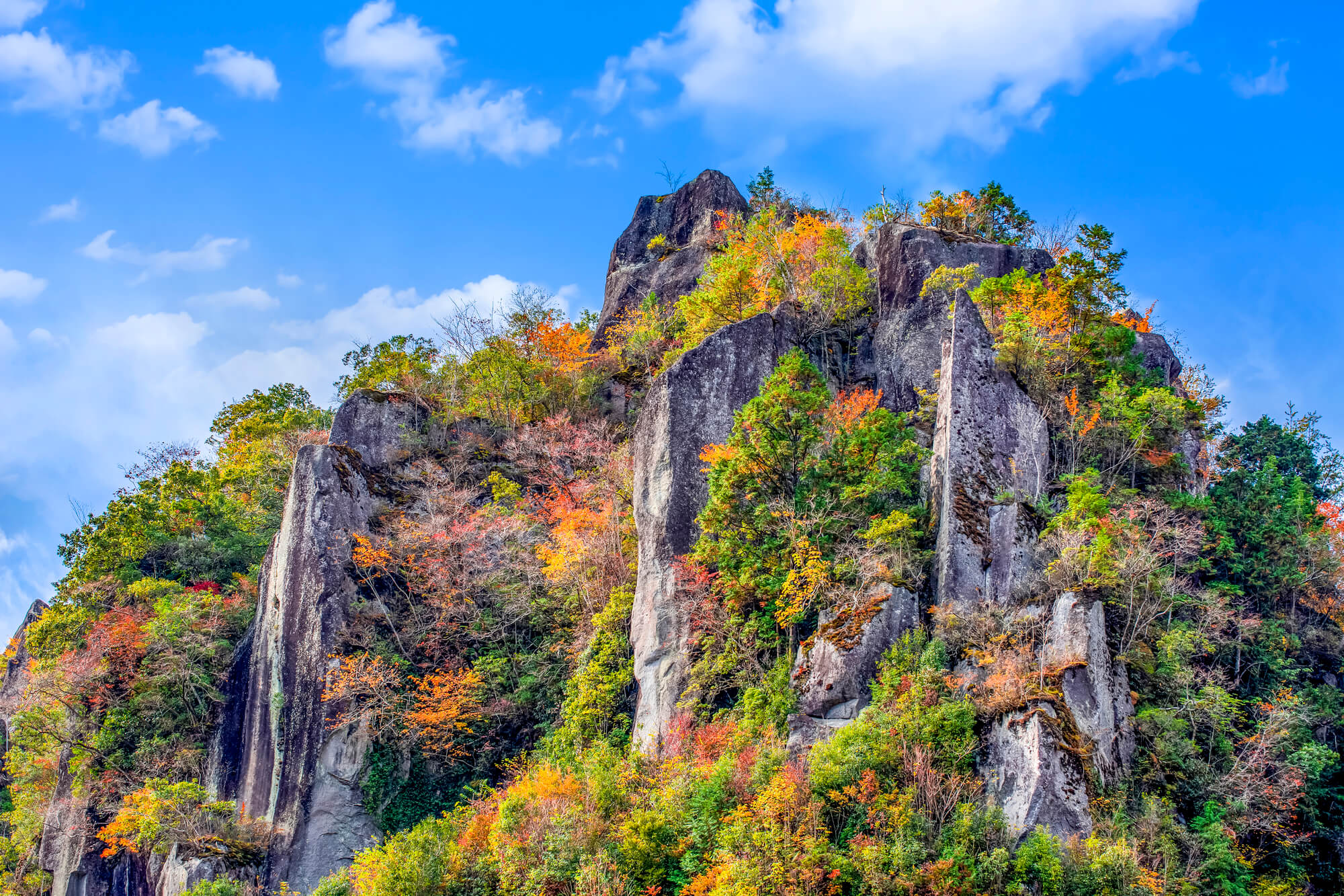 Nakatsu & Yabakei — The Gorge Fukuzawa Yukichi Called Home