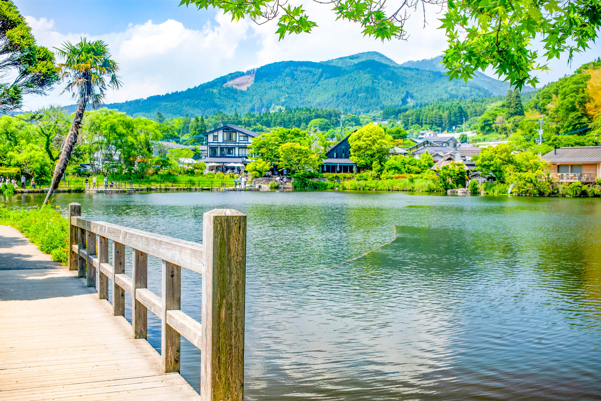 Yufuin Morning Mist Valley