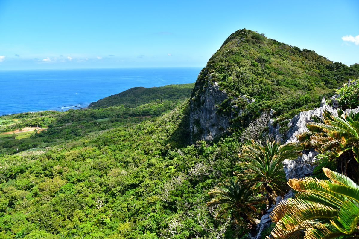 Yanbaru National Park