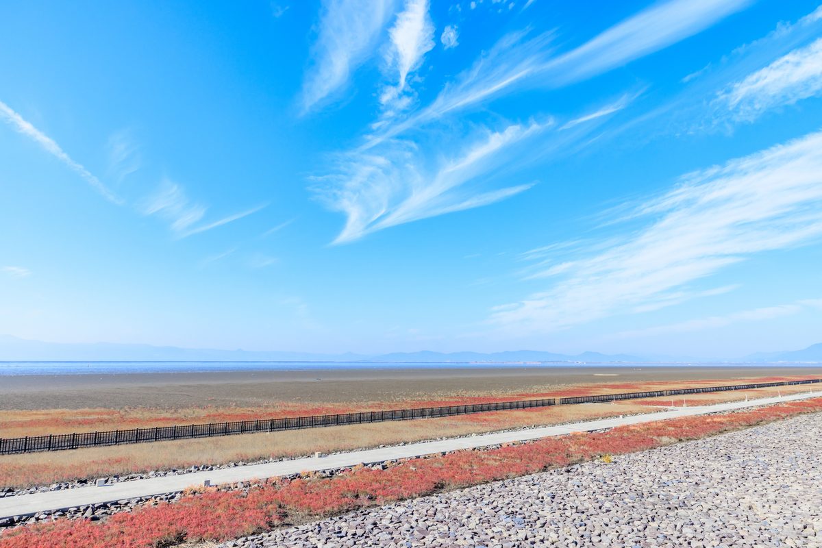 Higashiyoka Tidal Flat