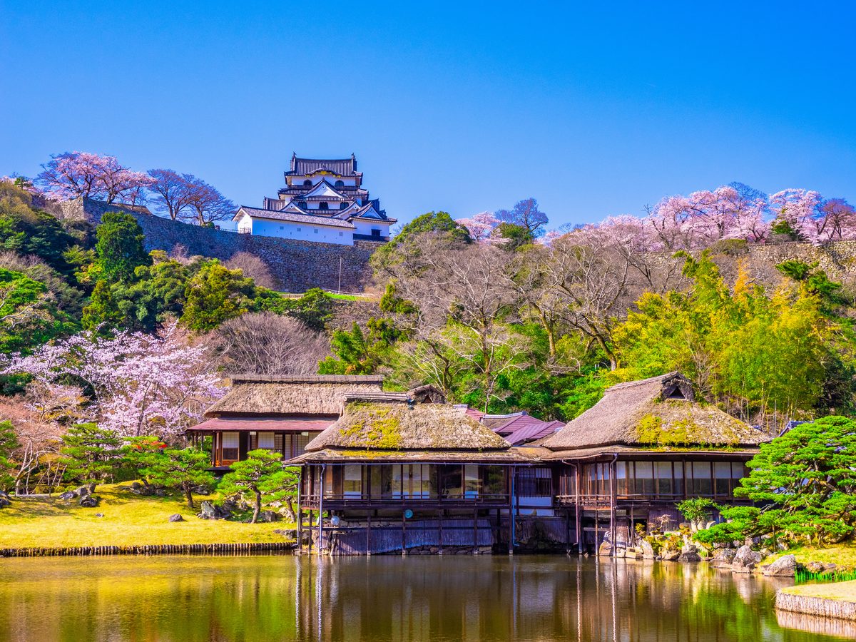 Hikone Castle