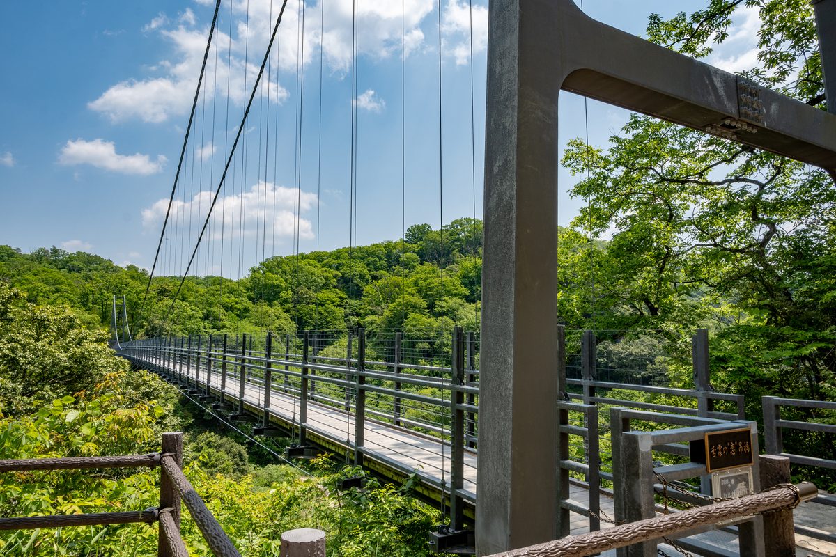 Oni no Shitaburui Gorge