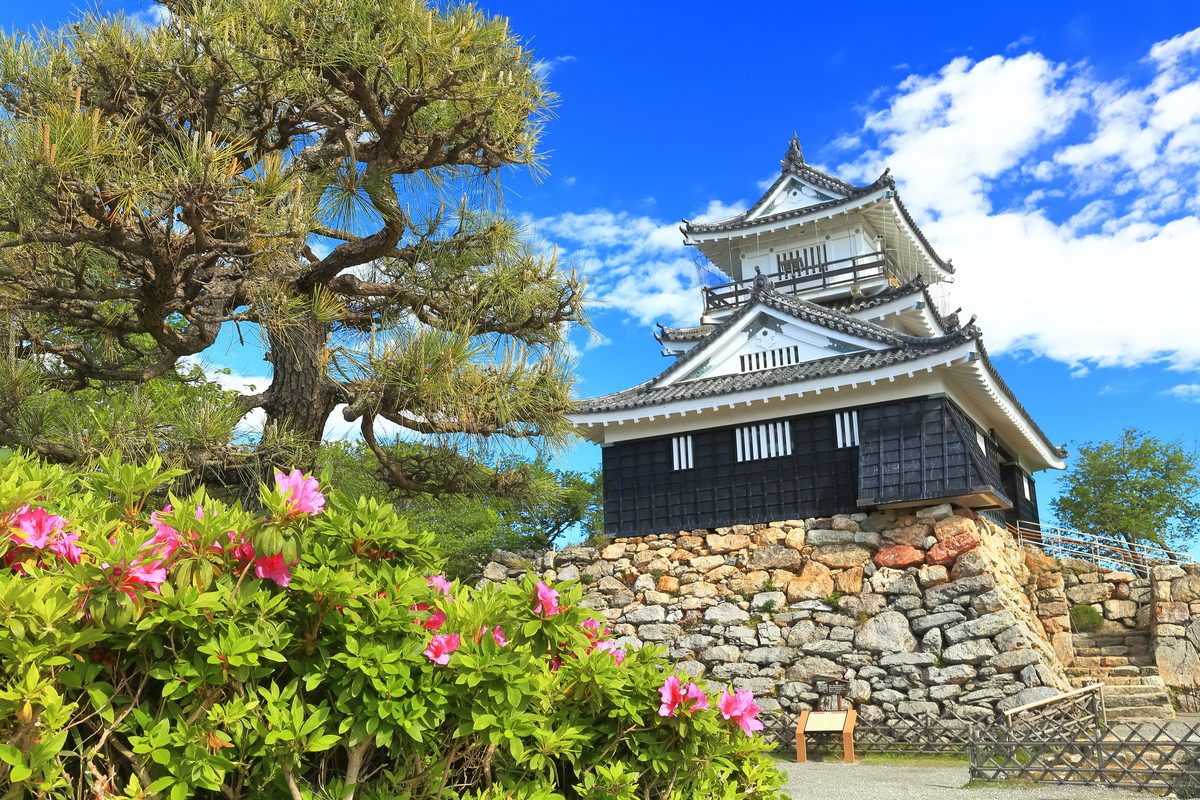 Hamamatsu Castle & Eel Town