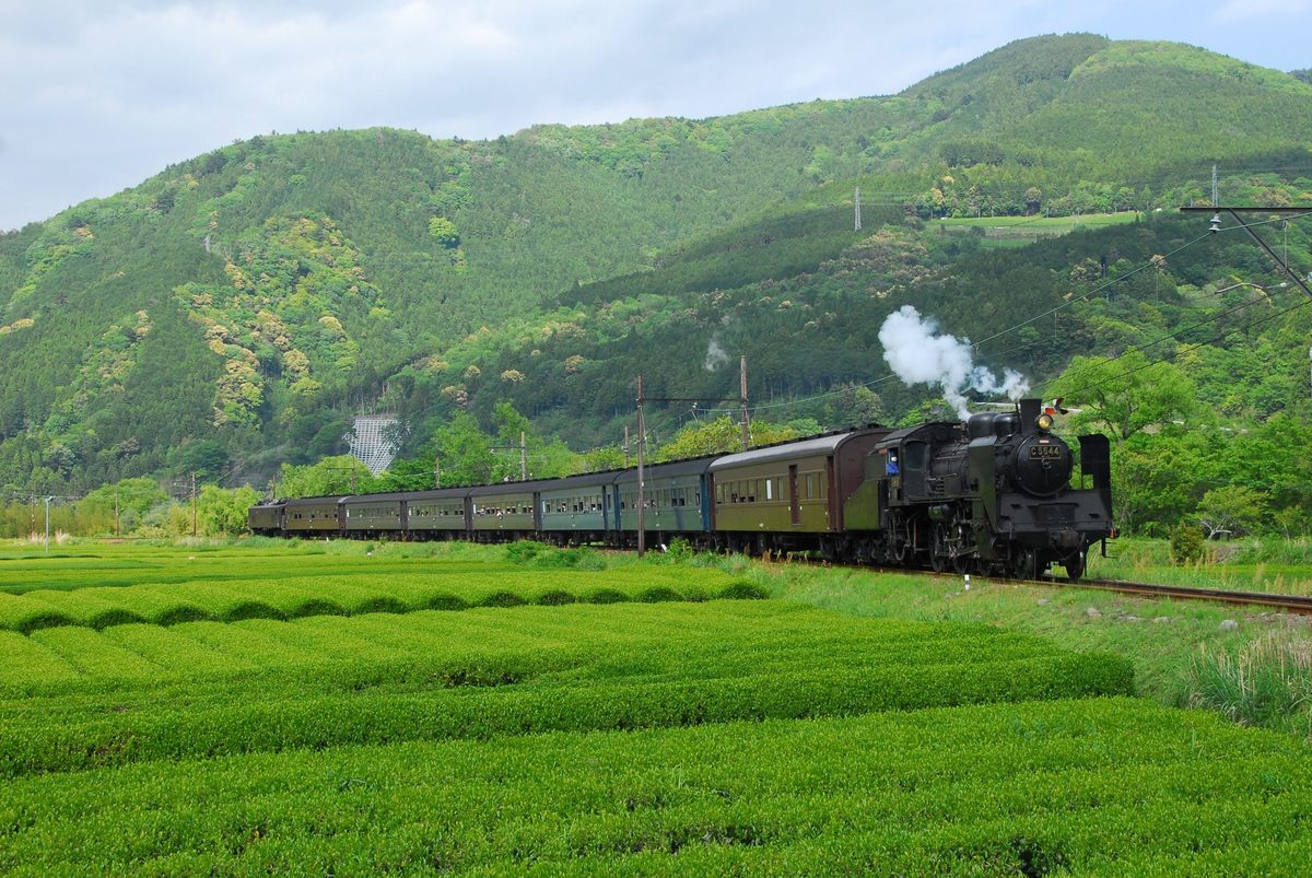 Oigawa Railway Steam Train