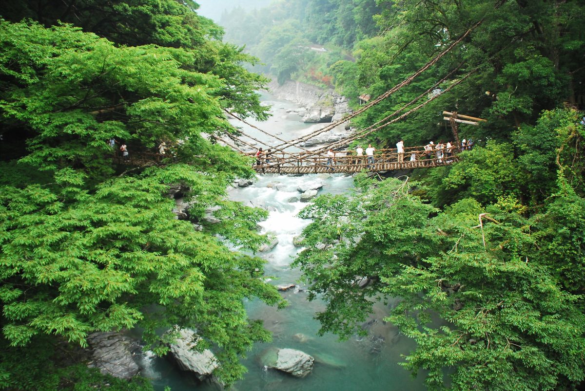 Kazurabashi Vine Bridge