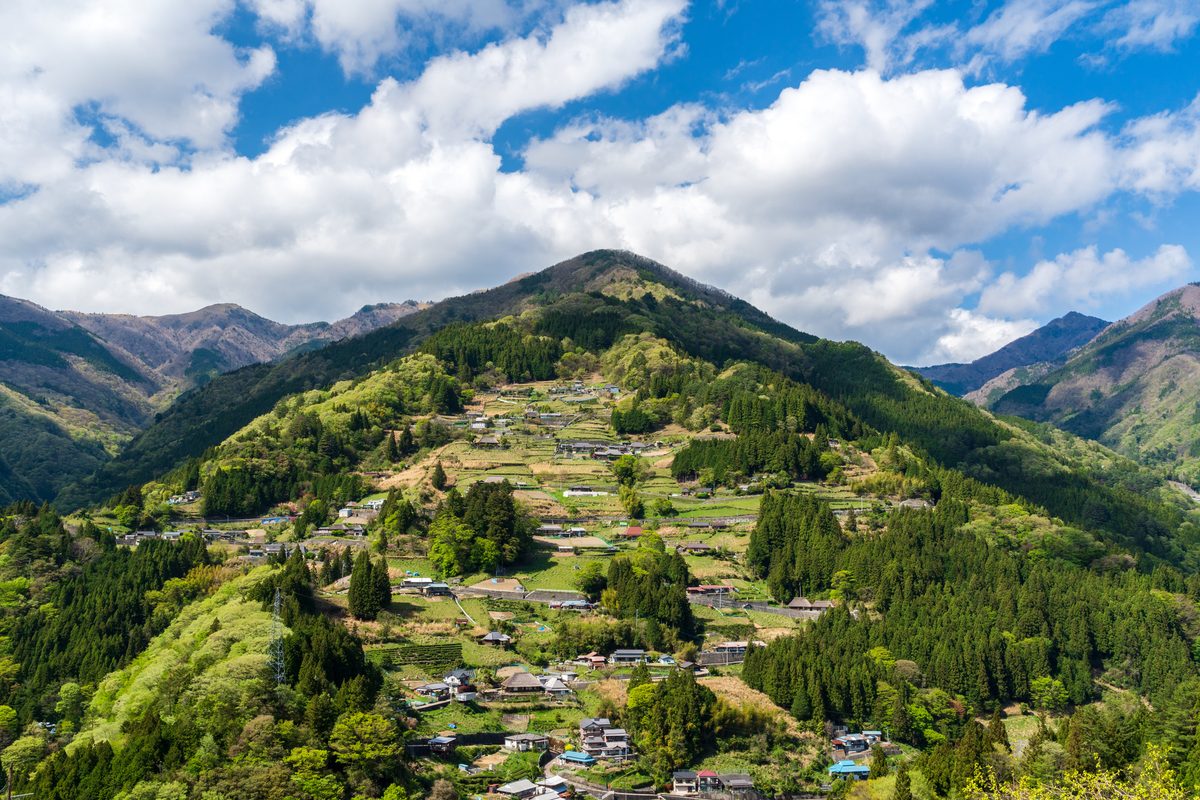 Ochiai Village (East Iya Terraced Houses)