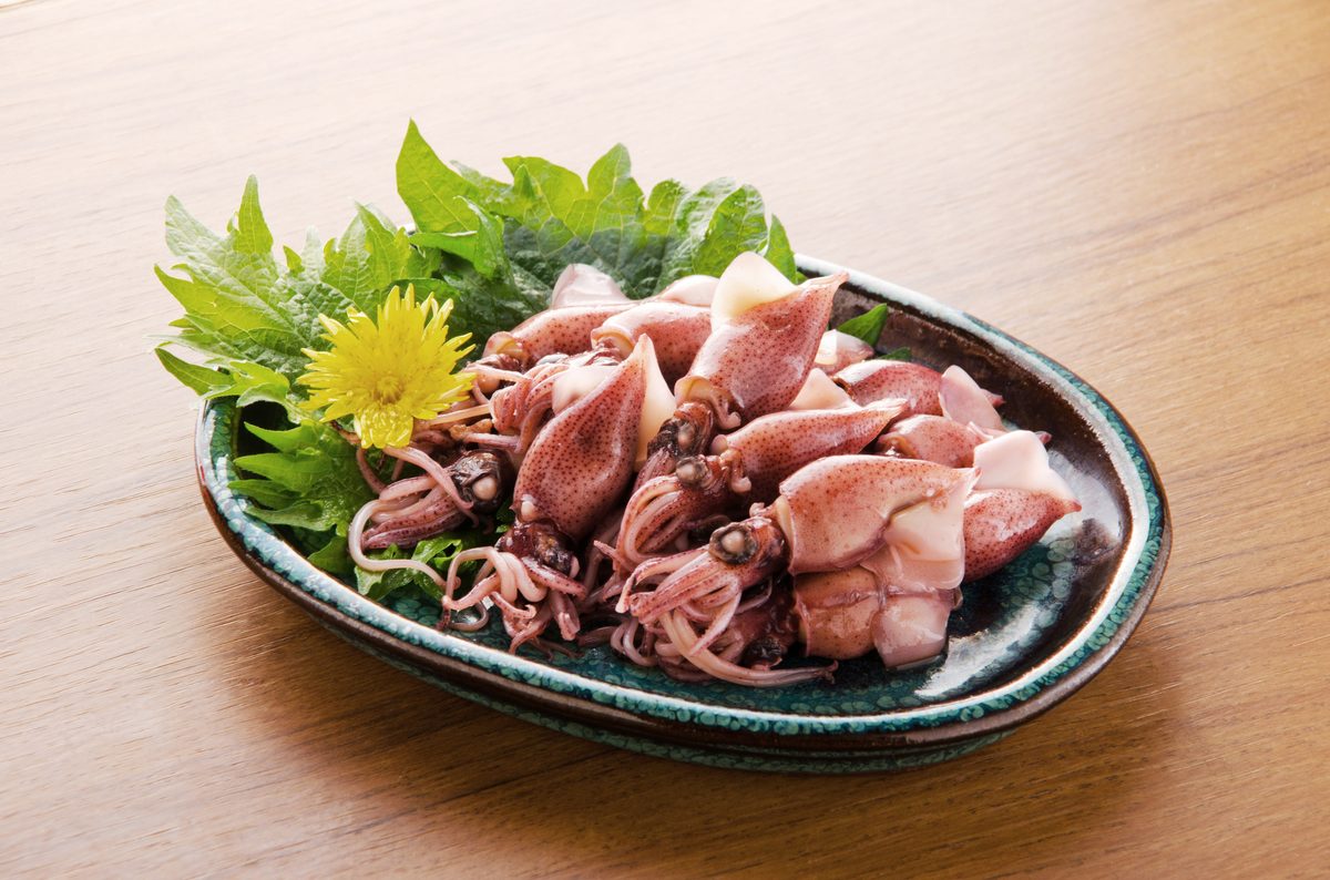 Hotaruika — Firefly Squid Season