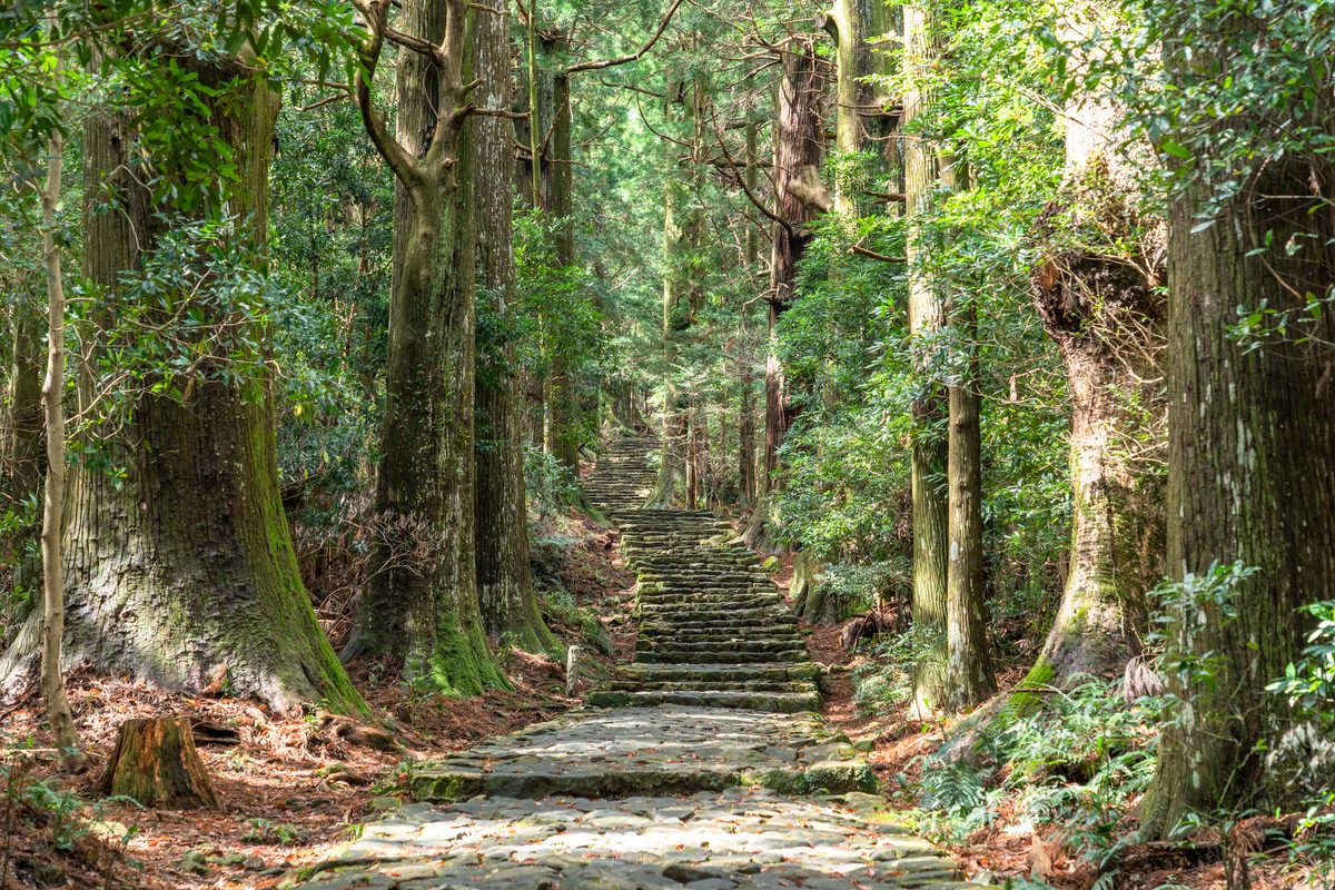 Kumano Kodo Pilgrimage Trail