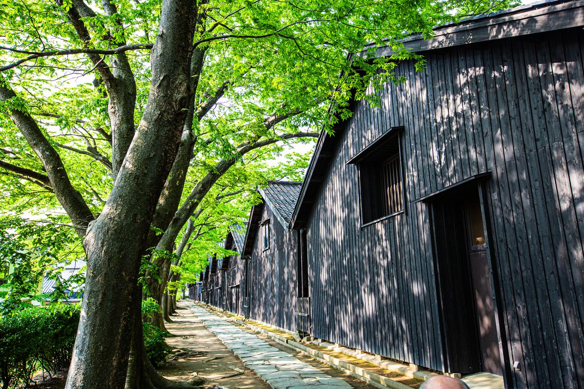 Sakata — Warehouses, Rice Money, and the Kitamaebune Trade