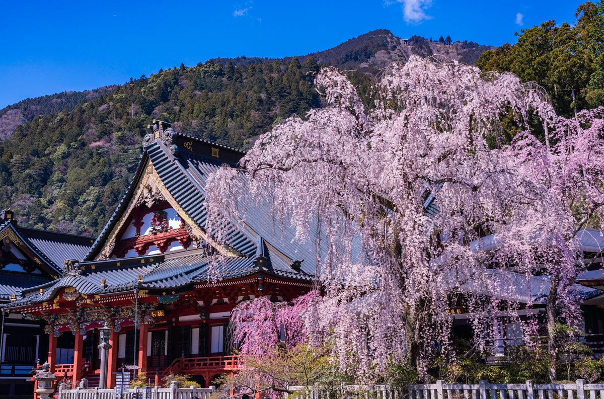 Minobu — Kuonji Temple